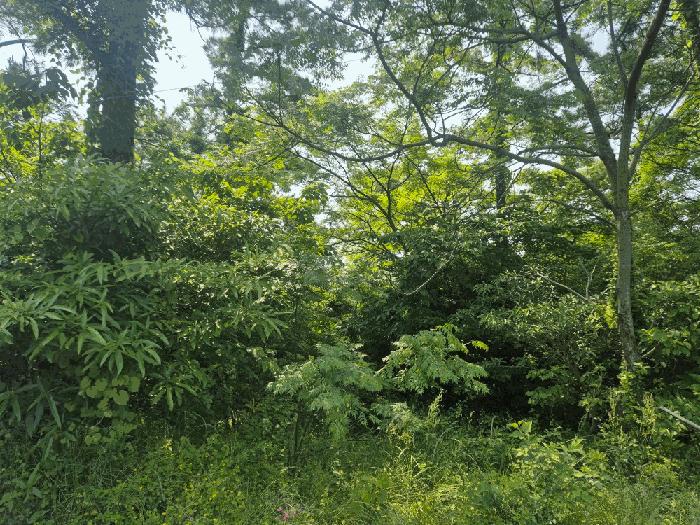 제주특별자치도 제주시 한림읍 협재리 2765-5 근린시설 경매 사진 5