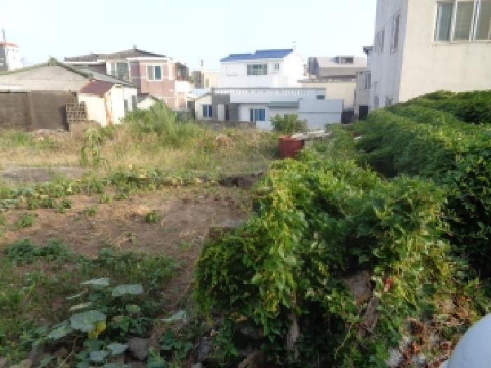 제주특별자치도 제주시 용담삼동 531-22 전 경매 사진 6