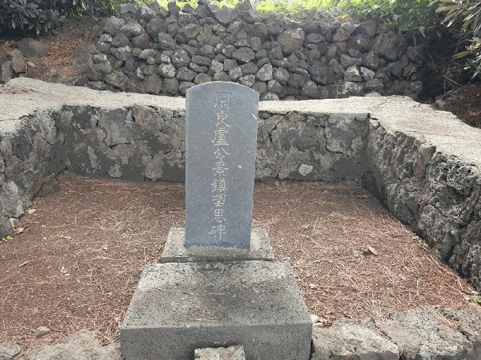 제주특별자치도 제주시 삼양일동 1004-1 전 경매 사진 10