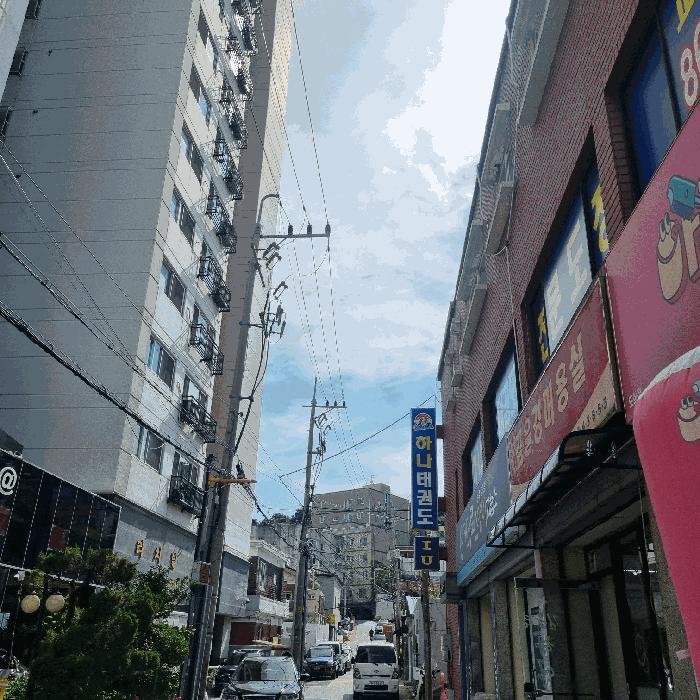 인천광역시 미추홀구 도화동 540-3 희성베스트빌 1층101호 다세대(빌라) 경매 사진 4