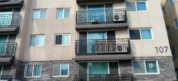 경기도 고양시 일산동구 풍동 225-46 숲빌리지107동 4층401호 다세대(빌라) 경매 사진 6