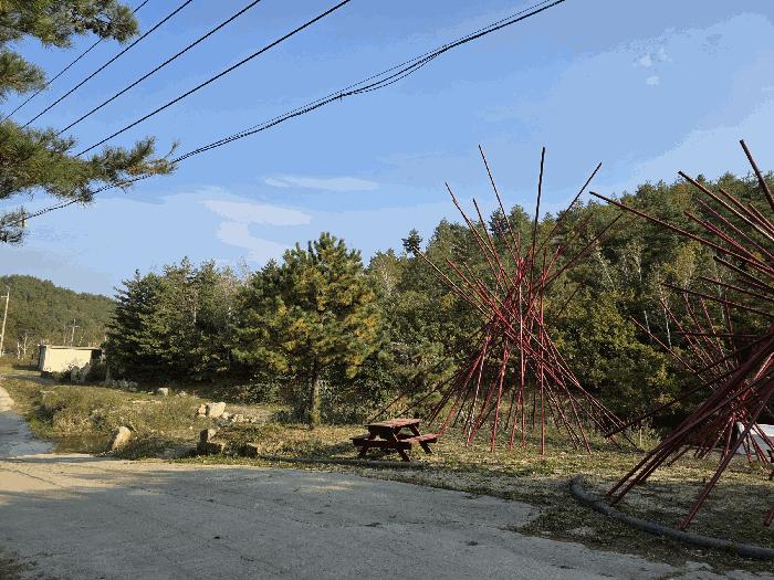 강원특별자치도 고성군 죽왕면 야촌리 산71-1 임야 경매 사진 12