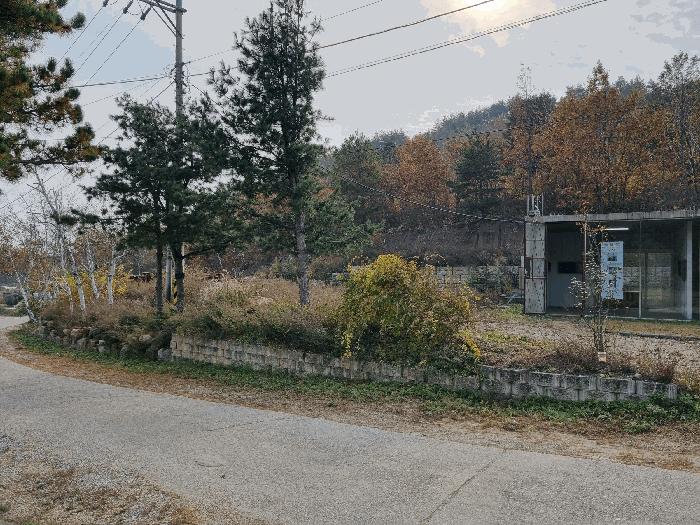 강원특별자치도 고성군 죽왕면 야촌리 산71-1 임야 경매 사진 14