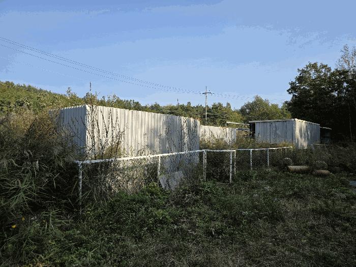 강원특별자치도 고성군 죽왕면 야촌리 산71-1 임야 경매 사진 3