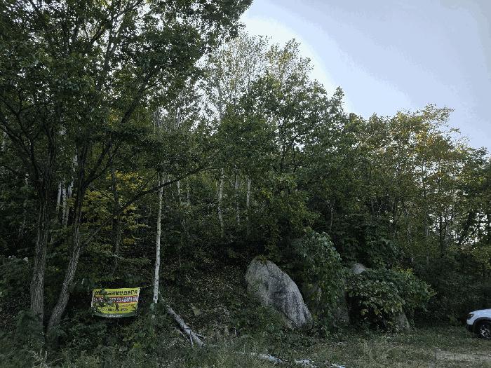 강원특별자치도 고성군 죽왕면 야촌리 산71-1 임야 경매 사진 5