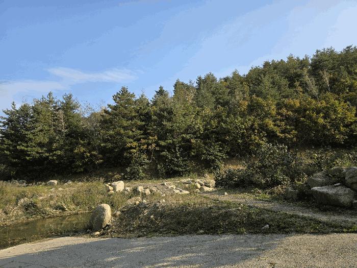 강원특별자치도 고성군 죽왕면 야촌리 산101 임야 경매 사진 11