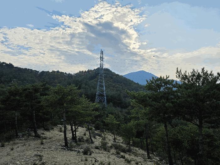 강원특별자치도 고성군 죽왕면 야촌리 산101 임야 경매 사진 16