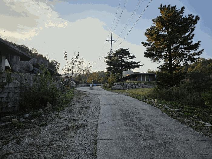 강원특별자치도 고성군 죽왕면 야촌리 산101 임야 경매 사진 19