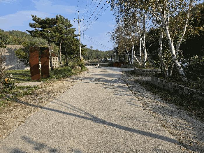 강원특별자치도 고성군 죽왕면 야촌리 산101 임야 경매 사진 20