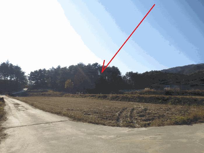 강원특별자치도 고성군 죽왕면 가진리 산76-1 임야 경매 사진 1