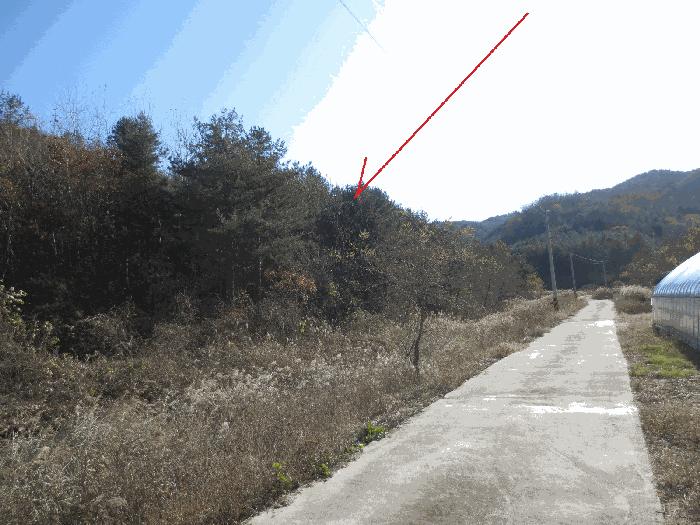 강원특별자치도 고성군 죽왕면 가진리 산76-1 임야 경매 사진 12