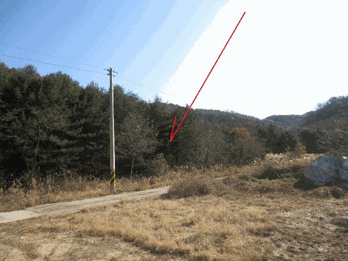 강원특별자치도 고성군 죽왕면 가진리 산76-1 임야 경매 사진 3