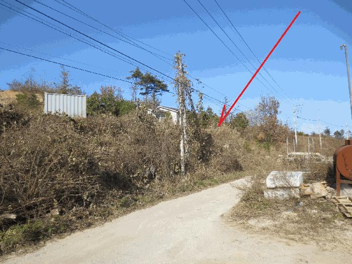 강원특별자치도 고성군 죽왕면 가진리 산76-1 임야 경매 사진 5