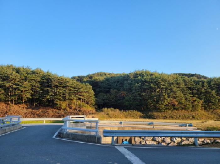 강원특별자치도 양양군 손양면 하왕도리 239 전 경매 사진 13
