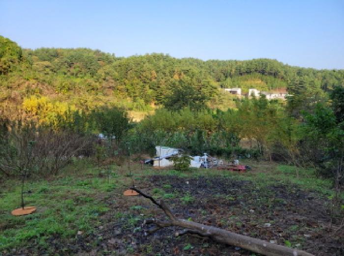 강원특별자치도 양양군 현북면 중광정리 산35 임야 경매 사진 19