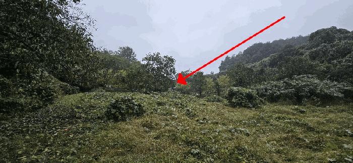 강원특별자치도 양양군 현북면 중광정리 산35 임야 경매 사진 4
