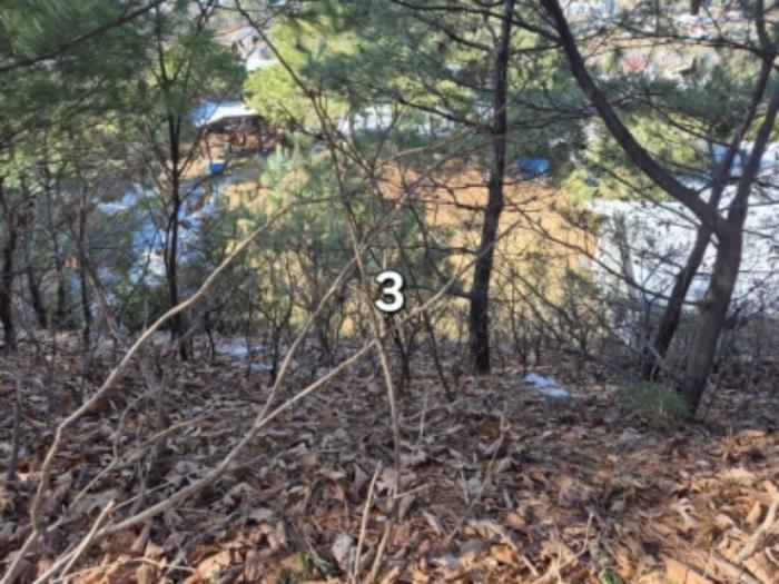 경기도 양평군 강하면 전수리 777-26 주택 경매 사진 8