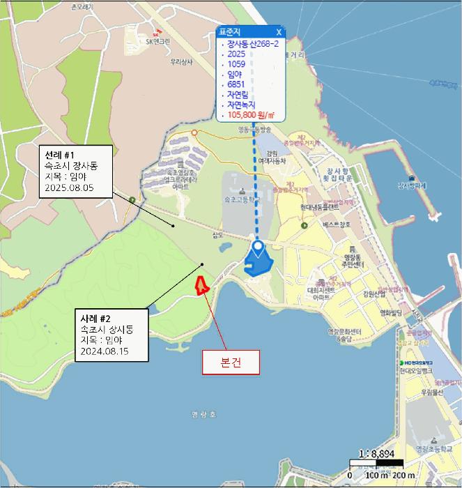 강원특별자치도 속초시 장사동 산287 임야 경매 사진 17
