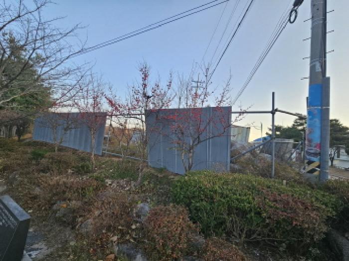 강원특별자치도 고성군 간성읍 신안리 421 전 경매 사진 11