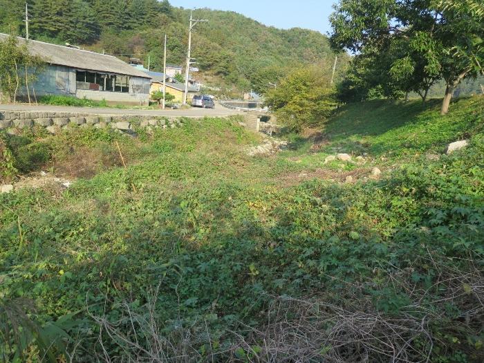 경기도 양평군 양동면 단석리 509-2 임야 경매 사진 5