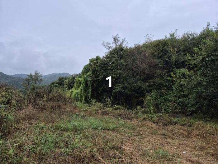 경기도 양평군 양동면 삼산리 1025 답 경매 사진 13