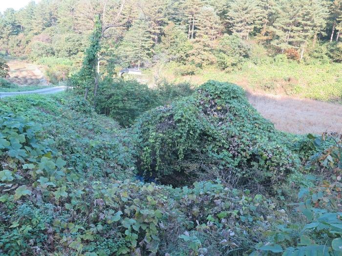 경기도 양평군 양동면 삼산리 1025 답 경매 사진 4