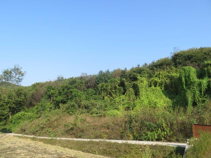 경기도 양평군 양동면 삼산리 1047 답 경매 사진 1