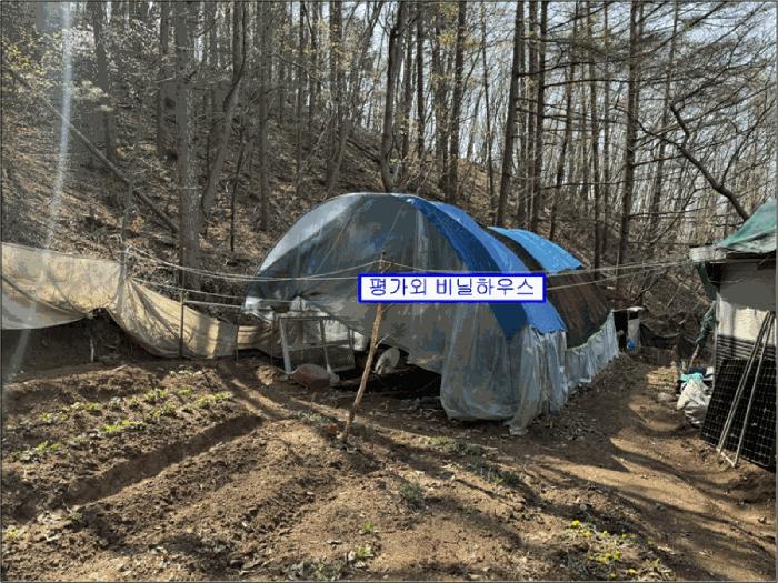 경기도 양평군 단월면 봉상리 67-1 답 경매 사진 6