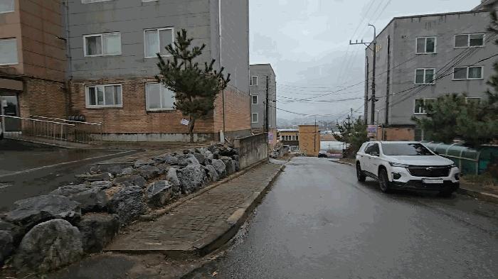 충청북도 진천군 진천읍 장관리 283-3 101동 1층 101호 다세대(빌라) 경매 사진 12