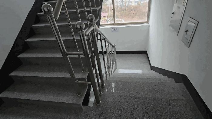 충청북도 진천군 진천읍 장관리 283-3 101동 1층 101호 다세대(빌라) 경매 사진 6