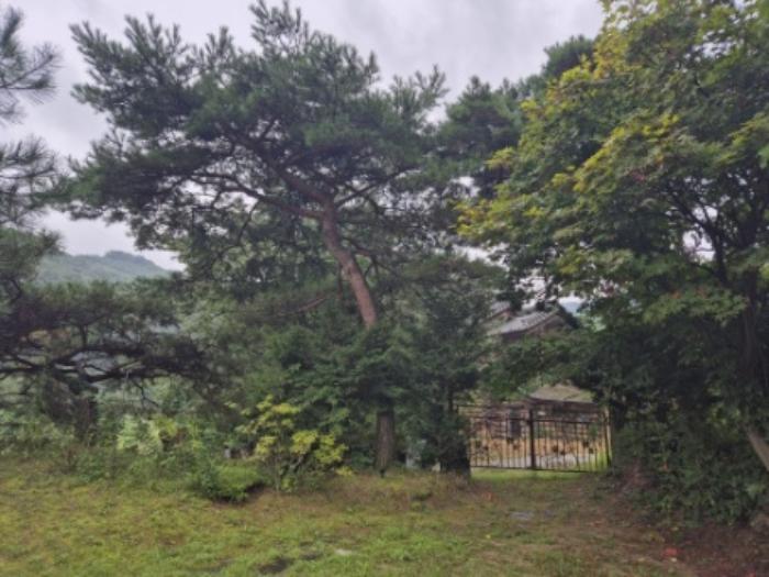 경기도 양평군 강하면 항금리 577-20 주택 경매 사진 10