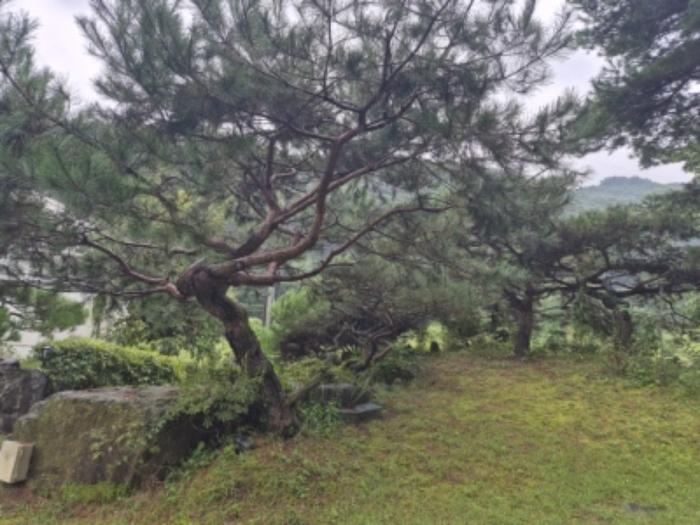 경기도 양평군 강하면 항금리 577-20 주택 경매 사진 11