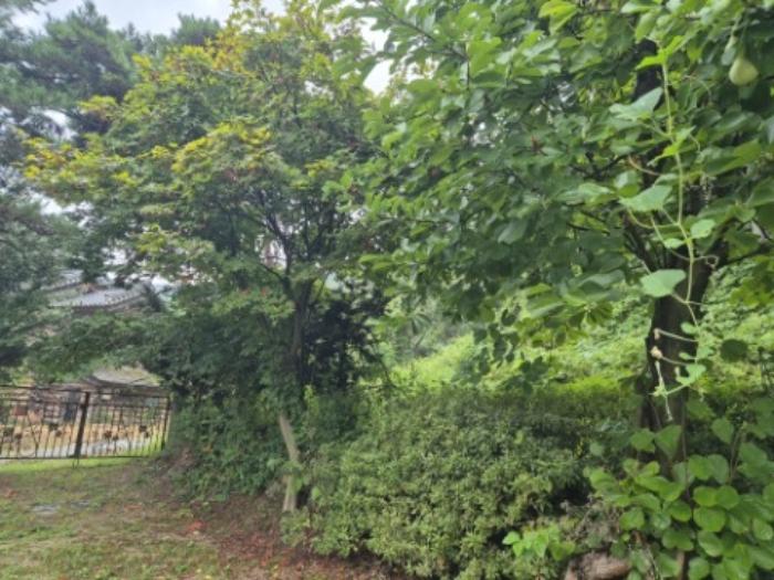 경기도 양평군 강하면 항금리 577-20 주택 경매 사진 9