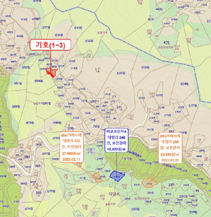 충청북도 괴산군 문광면 대명리 467-1 구거 경매 사진 2