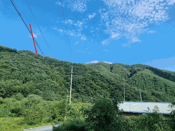 충청북도 진천군 진천읍 금암리 산36-1 주택 경매 사진 3