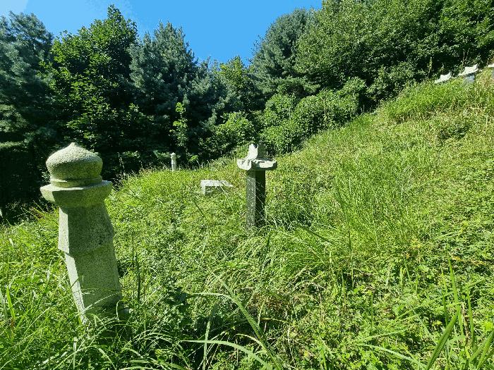 충청북도 진천군 진천읍 금암리 산36-1 주택 경매 사진 8
