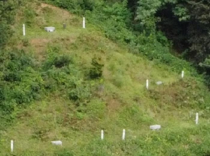 충청북도 진천군 초평면 신통리 산35-1 임야 경매 사진 17
