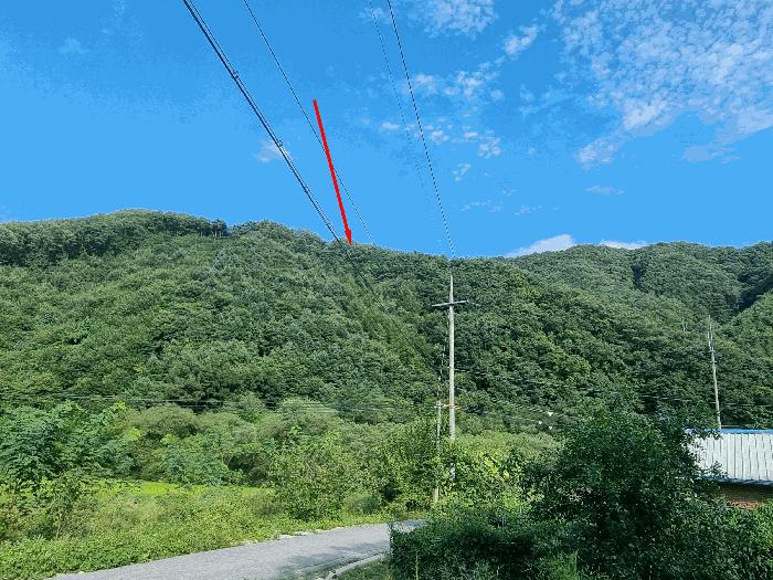 충청북도 진천군 백곡면 성대리 산24 임야 경매 사진 6