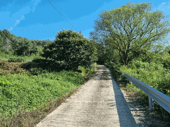 충청북도 진천군 백곡면 성대리 산16 임야 경매 사진 10
