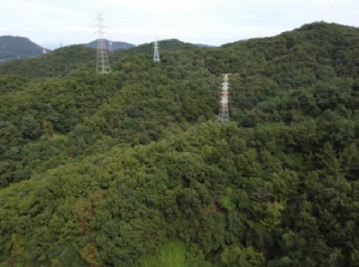 충청북도 진천군 백곡면 성대리 산16 임야 경매 사진 13