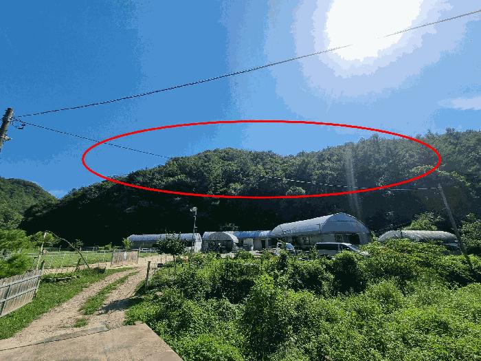충청북도 진천군 백곡면 성대리 산16 임야 경매 사진 7