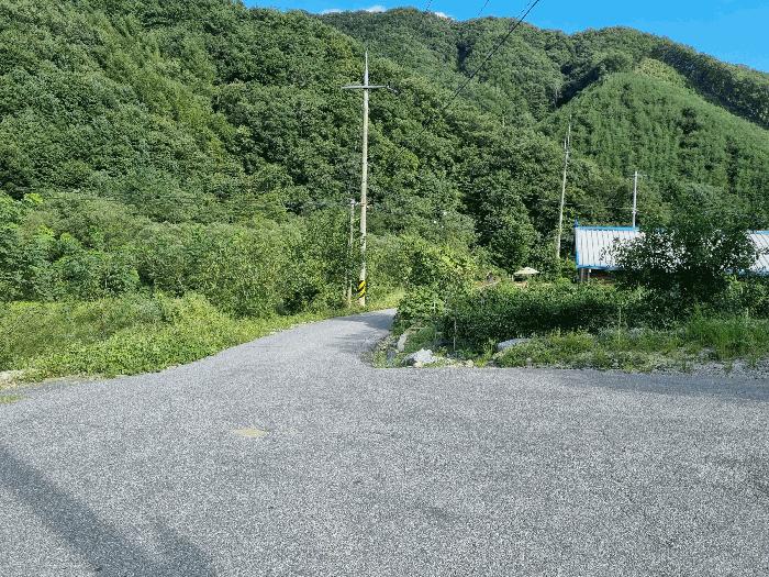 충청북도 진천군 백곡면 성대리 산16 임야 경매 사진 9