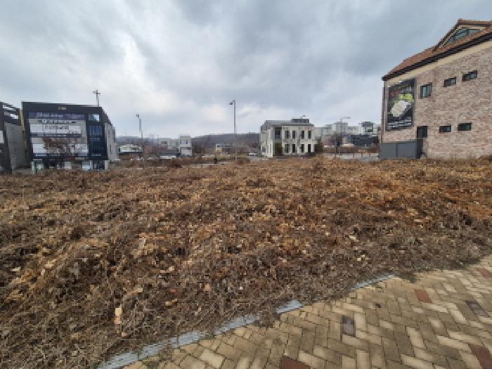 세종특별자치시 고운동 1154 대지 경매 사진 8