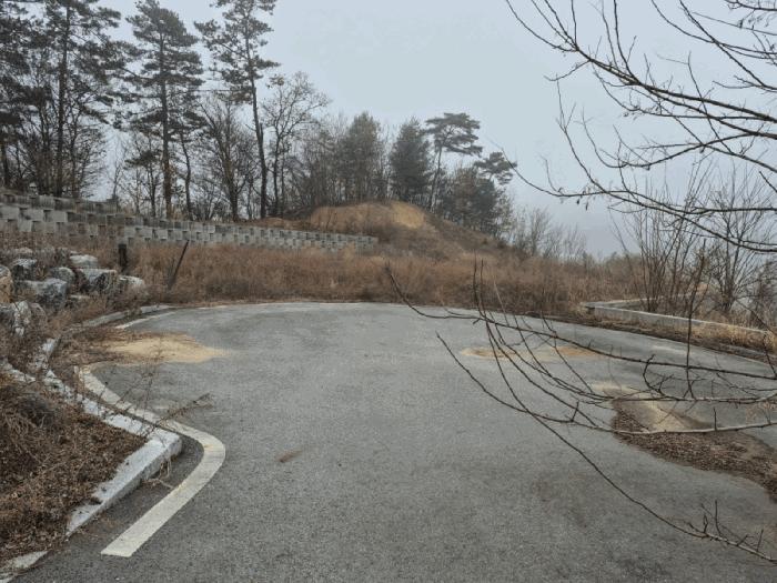 세종 연서면 임야