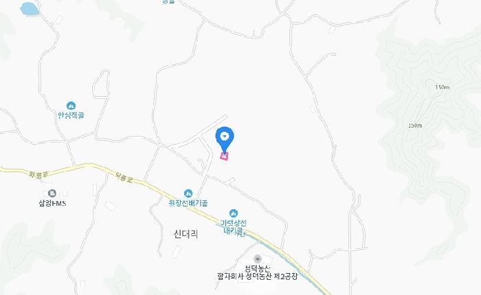 세종특별자치시 연서면 신대리 412-56 임야 경매 사진 8