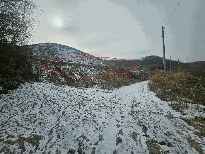 경기도 연천군 미산면 아미리 136 전 경매 사진 2