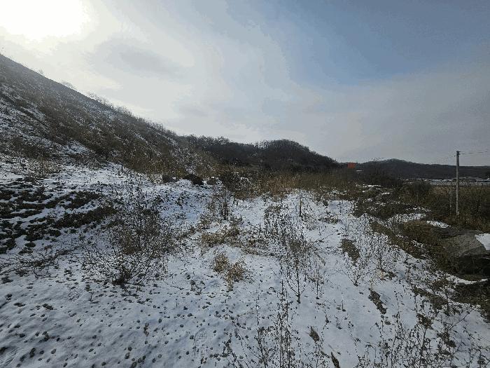 경기도 연천군 미산면 아미리 136 전 경매 사진 3