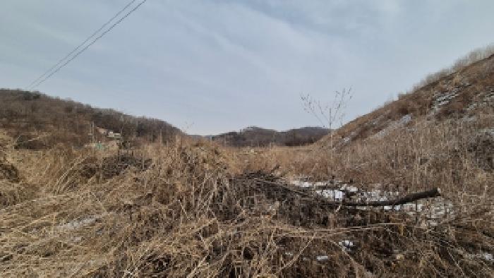 경기도 연천군 미산면 아미리 136 전 경매 사진 9