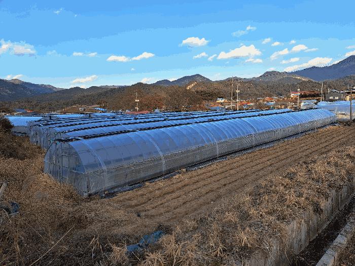 충청북도 괴산군 청천면 이평리 308 답 경매 사진 3