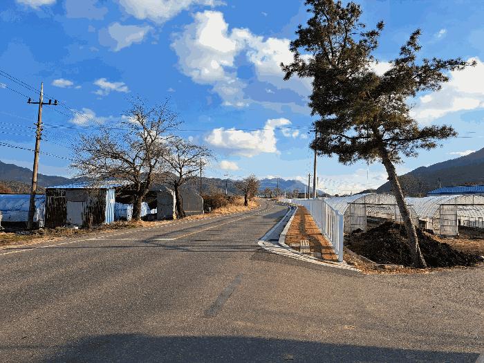 충청북도 괴산군 청천면 이평리 308 답 경매 사진 4